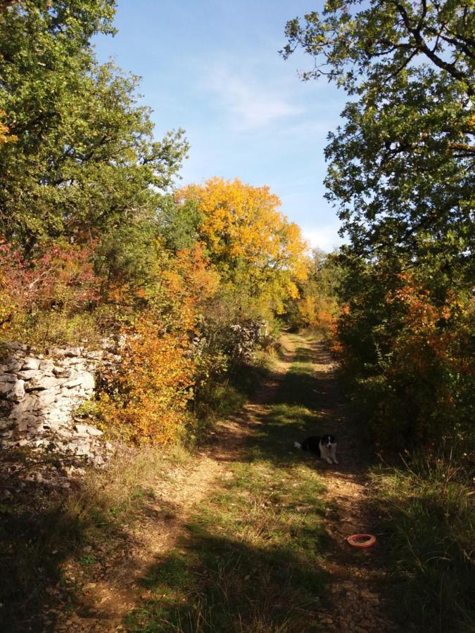 Les Trois Prunelles Saint-Pierre-Toirac Bagian luar foto