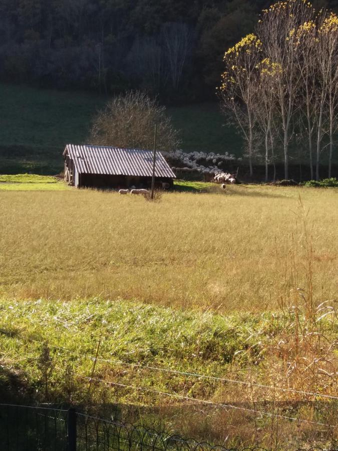 Les Trois Prunelles Saint-Pierre-Toirac Bagian luar foto