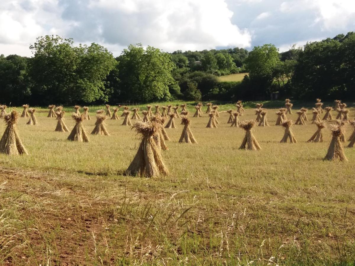 Les Trois Prunelles Saint-Pierre-Toirac Bagian luar foto